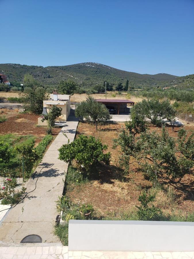 Apartmani Ciklic Dobropoljana Buitenkant foto